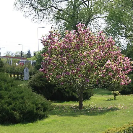 B.c. 8 Goscinne Przy Zamkowej