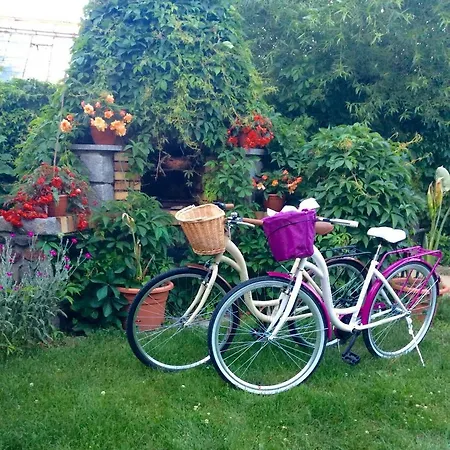 Séjour chez l'habitant B.c. 8 Goscinne Przy Zamkowej *