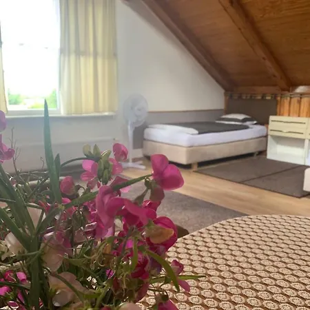 B.c. 8 Goscinne Przy Zamkowej Rum i privatbostad *