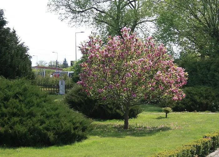 B.c. 8 Goscinne Przy Zamkowej