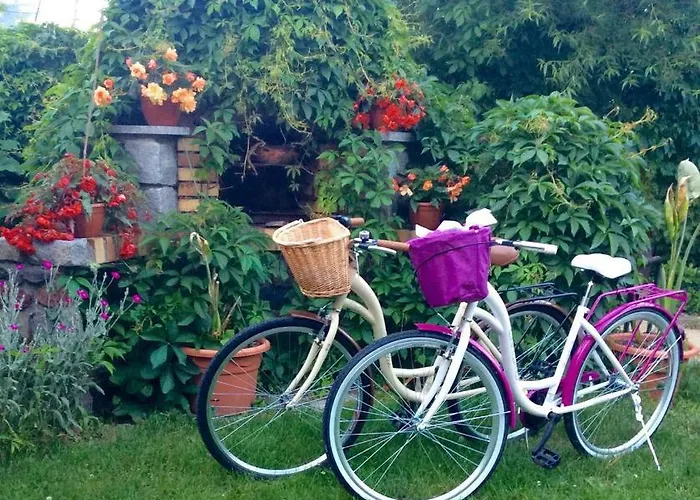 Pansiyon B.c. 8 Goscinne Przy Zamkowej *