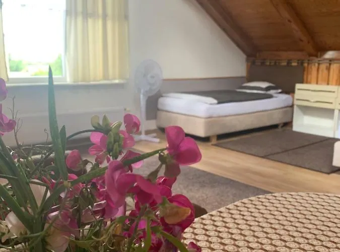 B.c. 8 Goscinne Przy Zamkowej 民宿 *