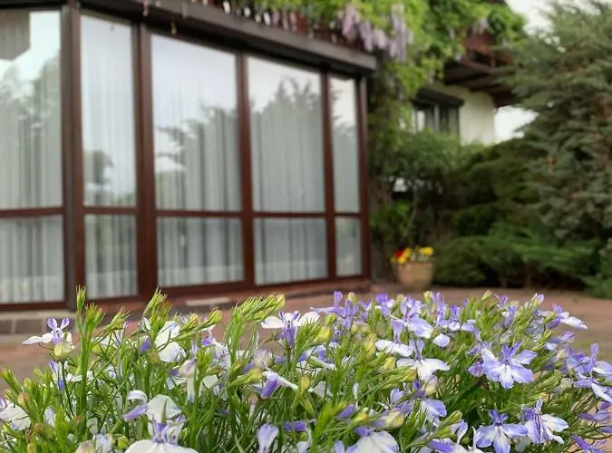 Pansiyon B.c. 8 Goscinne Przy Zamkowej